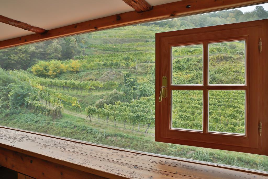 Apartement Schlaf Gut - Mitten In Der Wachau Weissenkirchen in der Wachau Rum bild